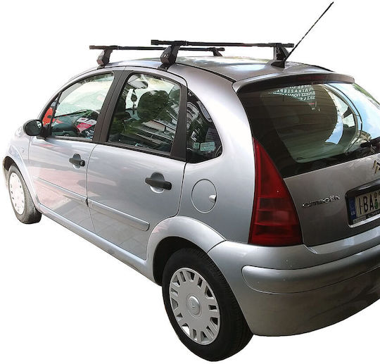 Hermes Kit (with Roof Rack Legs) Silver