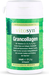 Metapharm Vitosyn Grancollagen 60 Capsule