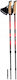 Viking Kube Pro Teleskopische Wanderstöcke Aus Aluminium 2er Pack Rote
