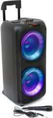 Ibiza Sound Boxă Karaoke cu Microfon cu Fir Venus 600