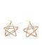 Earrings Pendants Gold Plated