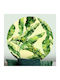 Dekorativer Aufkleber Wand 1Stück 70x70cm Caravelshop