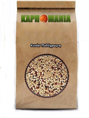 Karpomania Κινόα 350gr