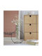 Balvi Decorative Vase 14.5x8x19cm