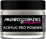 Acrylic Powder Pro Exprert ( Clear 30gr)