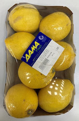 Λεμόνια Εισαγωγής (ελάχιστο βάρος 1.35kg)