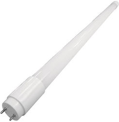 Eurolamp LED Lampen für Fassung G13 Kühles Weiß 1215lm 1Stück