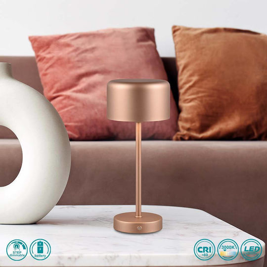 Trio Lighting Μεταλλικό Πορτατίφ LED με Καφέ Καπέλο και Βάση
