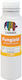 Caparol Fungizid Αστάρι 0.25lt