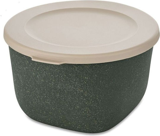 Koziol Lunchbox Kunststoff Gray Geeignet für die Mikrowelle 1000ml 1Stück