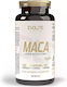 Evolite 500mg Maca 100 φυτικές κάψουλες