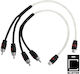 Ampire 0.3m RCA male Cable (X30S-BLISTER)