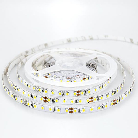 Eurolamp LED Лента 24V Неутрално бяло Светлина 5м Тип SMD2835