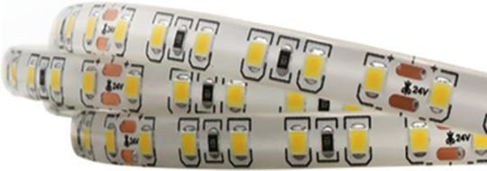 Eurolamp LED Strip 24V RGB Light 5m Type SMD2835