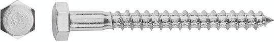 Goizper Coach Screw Galvanized DIN 571 with Length 8mm