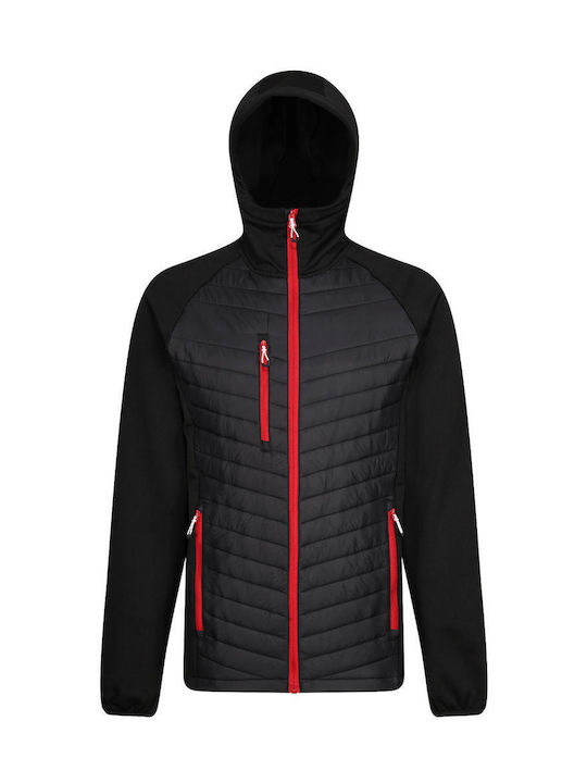 Regatta Men's Winter Puffer Jacket Black/Red