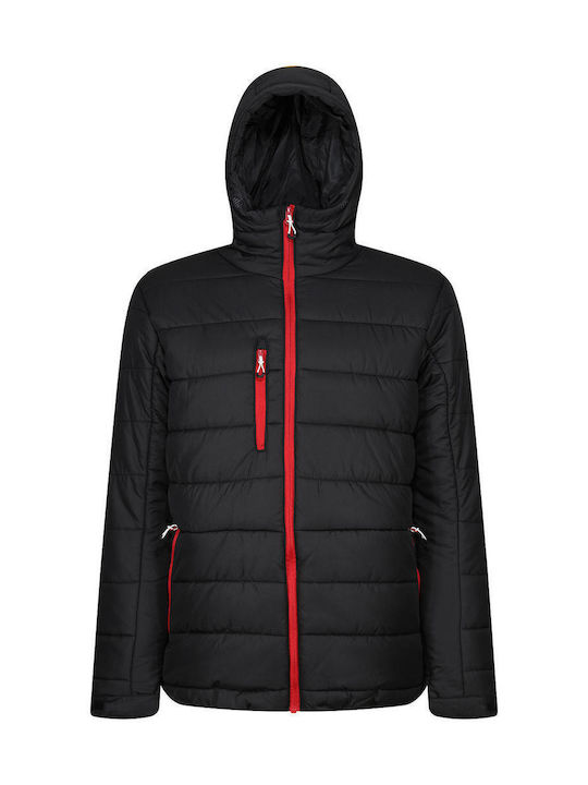 Regatta Men's Winter Puffer Jacket Black/Red