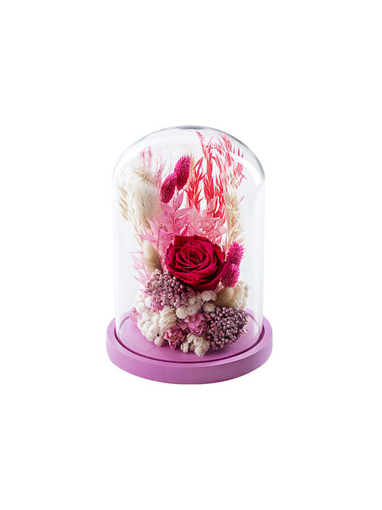 Апоксирамено Фито Dry Flowers Multicolour 1бр