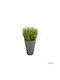 Artificial Plant in Small Pot Dimensions 11x11x18cm Green 18cm Arte Regal