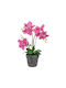 Orchidee in Topfpflanze Rosa 46cm Artekko
