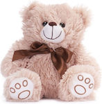 Paws Plush Bear 21 cm