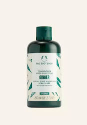 The Body Shop Conditioner 60ml The Body Shop Conditioner 60ml