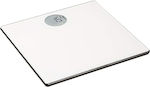 Amazon Basics Digital Bathroom Scale White