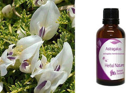 Ethereal Nature Astragalus 50ml