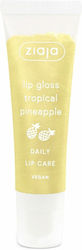 Ziaja Lippenpflege Balsam 12ml Ziaja Lippenpflege Balsam 12ml