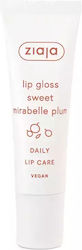 Ziaja Süßer Mirabelle Pflaumen Lippenbalsam 12ml Ziaja Süßer Mirabelle Pflaumen Lippenbalsam 12ml