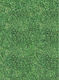 Uni Pap Cardboard Green 50x70cm