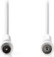 Nedis Antenna Cable Coax male - Coax female White 1.5m (CSGL40020WT15) 1pcs