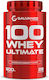 Galvanize Nutrition Chrome 100 Whey Ultimate Протеин Суроватъчен с Вкус Chocolate Hazelnut 900гр