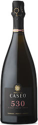 Tommasi Family Estates Caseo Rot Trocken Schaumwein 750ml Tommasi Family Estates Caseo Rot Trocken Schaumwein 750ml