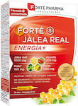 Forte Pharma Royal Jelly for Energy, Immune System Boost & Hair 20pcs