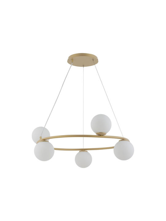 Sigma Hängelampe Gold für 5 Lampen G9 70cm.