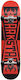Darkstar 8" Complete Shortboard Κόκκινο