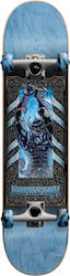Darkstar Axe FP Premium 8" Комплектен Къса дъска Darkstar Axe FP Premium 8" Комплектен Къса дъска