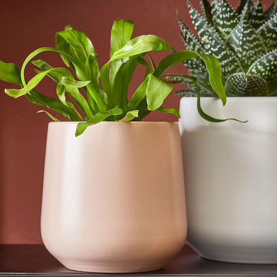 Edelman Plant Pot Ceramic Pink