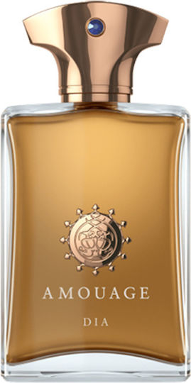 Amouage Dia Eau de Parfum 100ml | Skroutz Romania