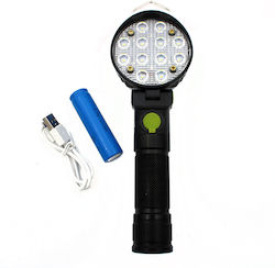 LED Spotlight with Blue and Red Light