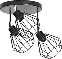 Adviti Ceiling Light Adviti Ceiling Light