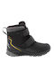 Jack Wolfskin Texapore Kids Boots Gray