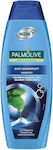 Palmolive Antiforfora Σαμπουάν 350ml