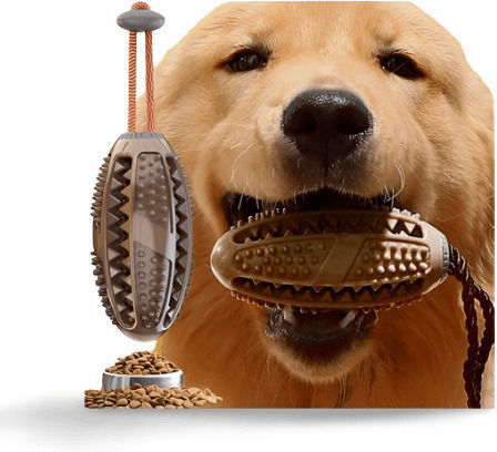 Pet Interest Hanging Οδοντόβουρτσα για Σκύλους για Προστασία Ούλων