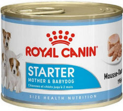 Royal Canin Starter Mousse 195gr Royal Canin Starter Mousse 195gr