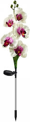 Set of 2 Stake Solar Lights
