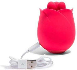 Platanomelon Vibrator Rosa