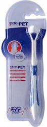 Show Tech Toothbrush for Oral Hygiene Show Tech Toothbrush for Oral Hygiene