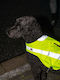 Trixie Dog Protective Vest Medium Yellow 50x50x50 cm